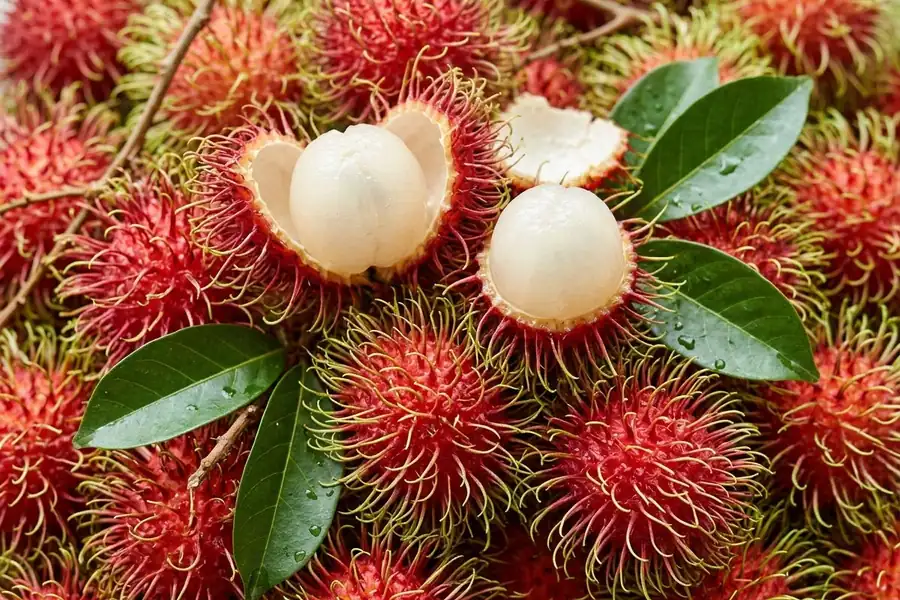 Rambutans with soft red spines tipped yellow-green, two peeled to the translucent white flesh, with rambutan leaves