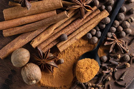Ceylon spices — cinnamon, pepper, cloves and cardamom from Sri Lanka
