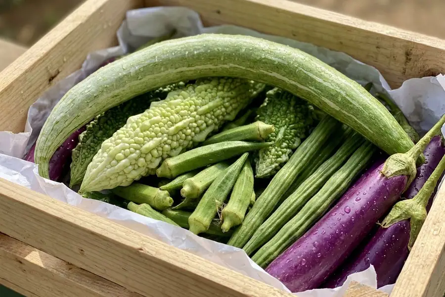 Snake gourd, bitter gourd, drumstick pods, okra and purple brinjal with water droplets in a paper-lined timber crate