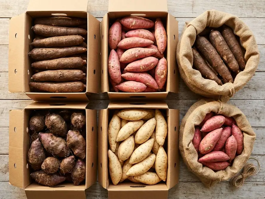 Cassava, sweet potatoes and purple yams packed in open plain cartons and jute sacks on pale timber, seen from above
